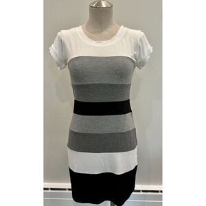 BCBGMaxAzria Short Sleeve Colorblock Stripe Dress Size S